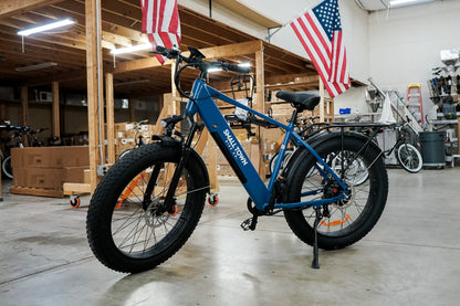 Fat Tire Electric Bike