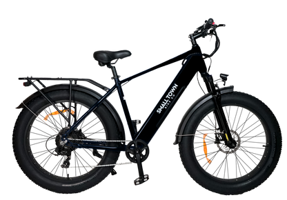 Fat Tire Electric Bike